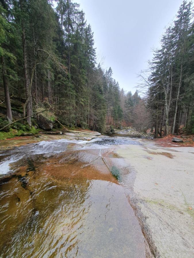 Апартаменты Horska Vyhlidka Танвальд Экстерьер фото